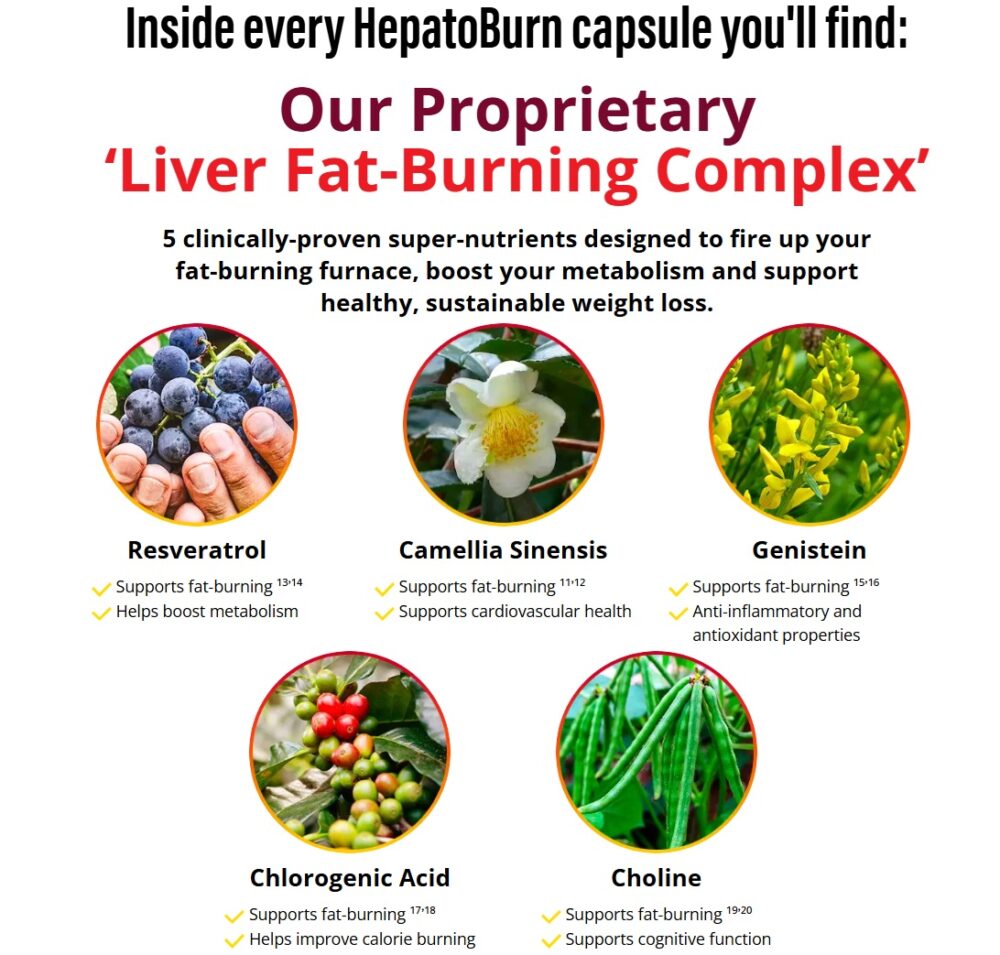 HepatoBurn-Ingredients